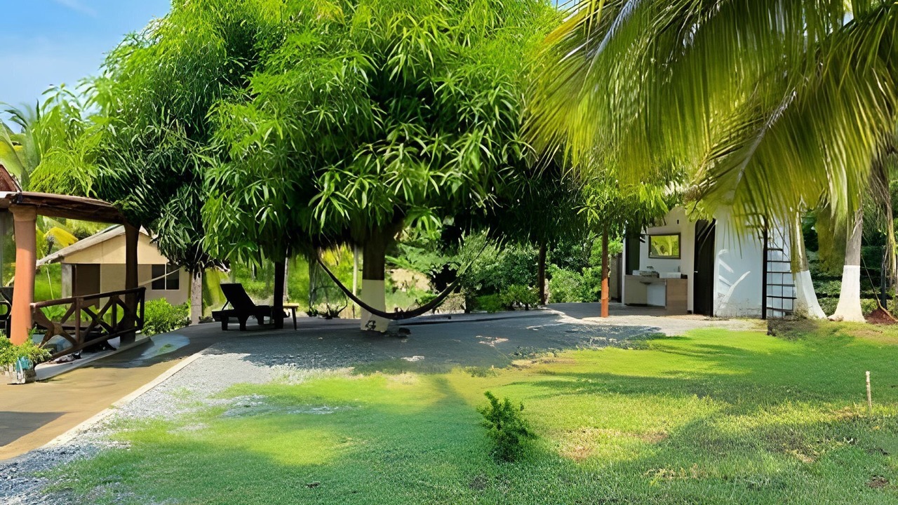 Photo of Outdoor in Saladita