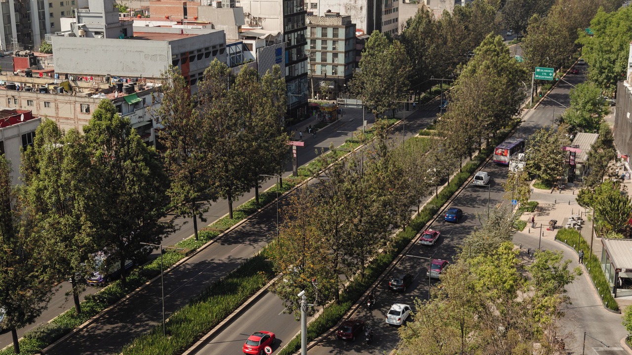 Photo of Outdoor in Reforma