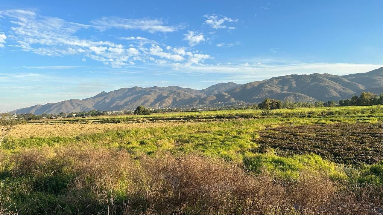 Photo of Outdoor in Etzatlan