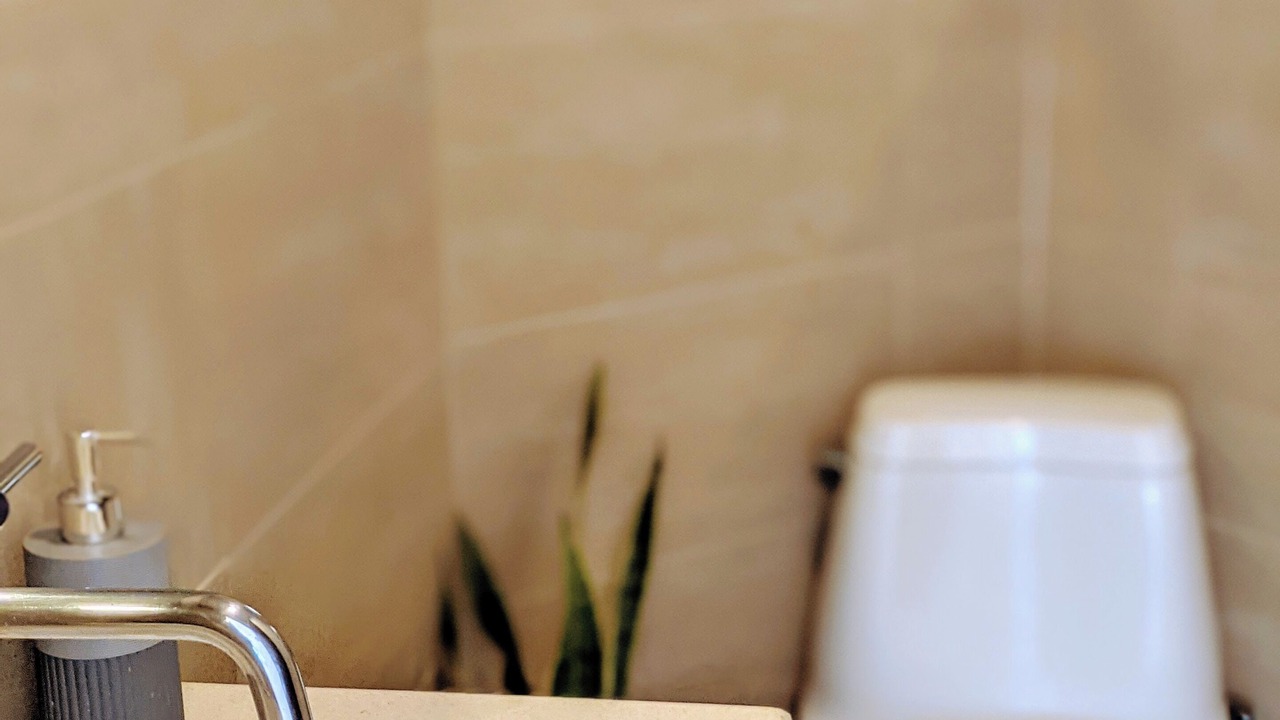 Photo of Bathroom in Playacar Fase I