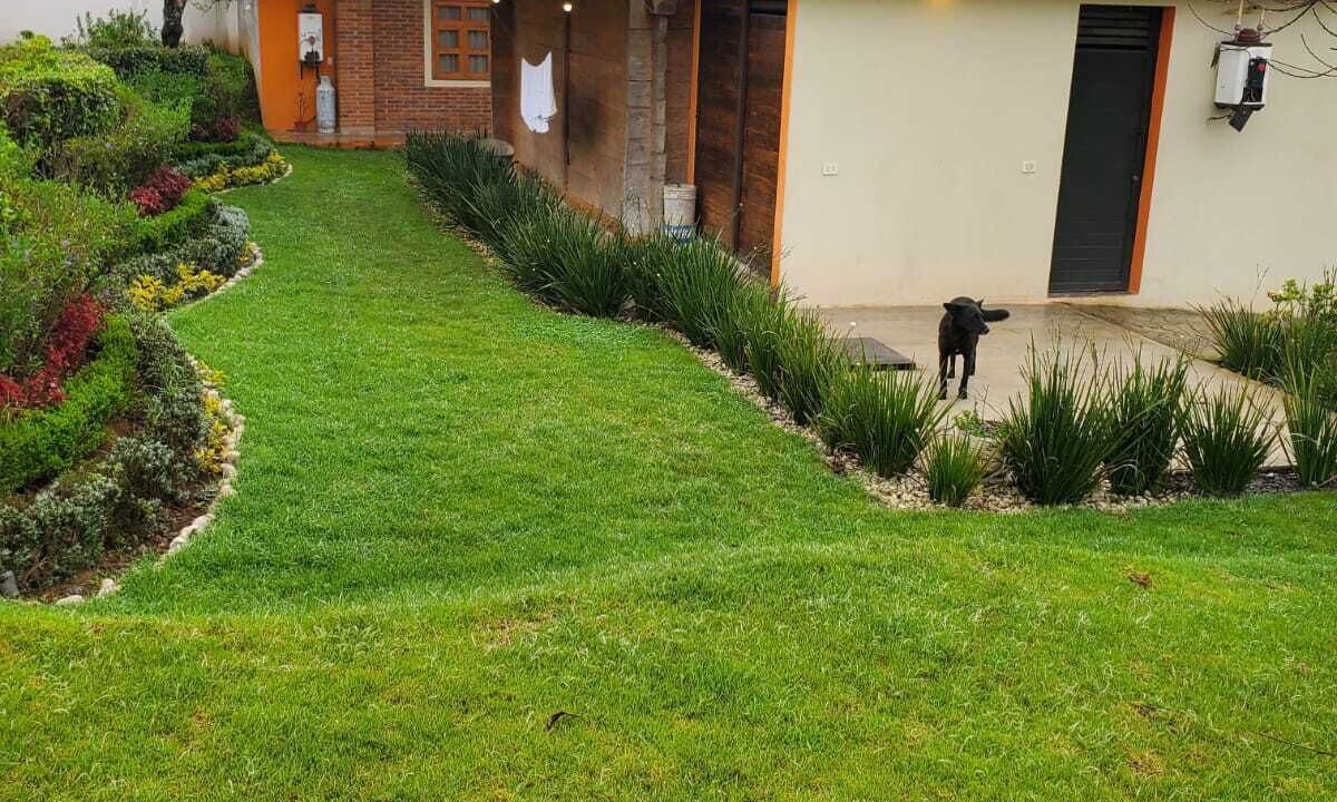 Photo of Outdoor in Zacatlan