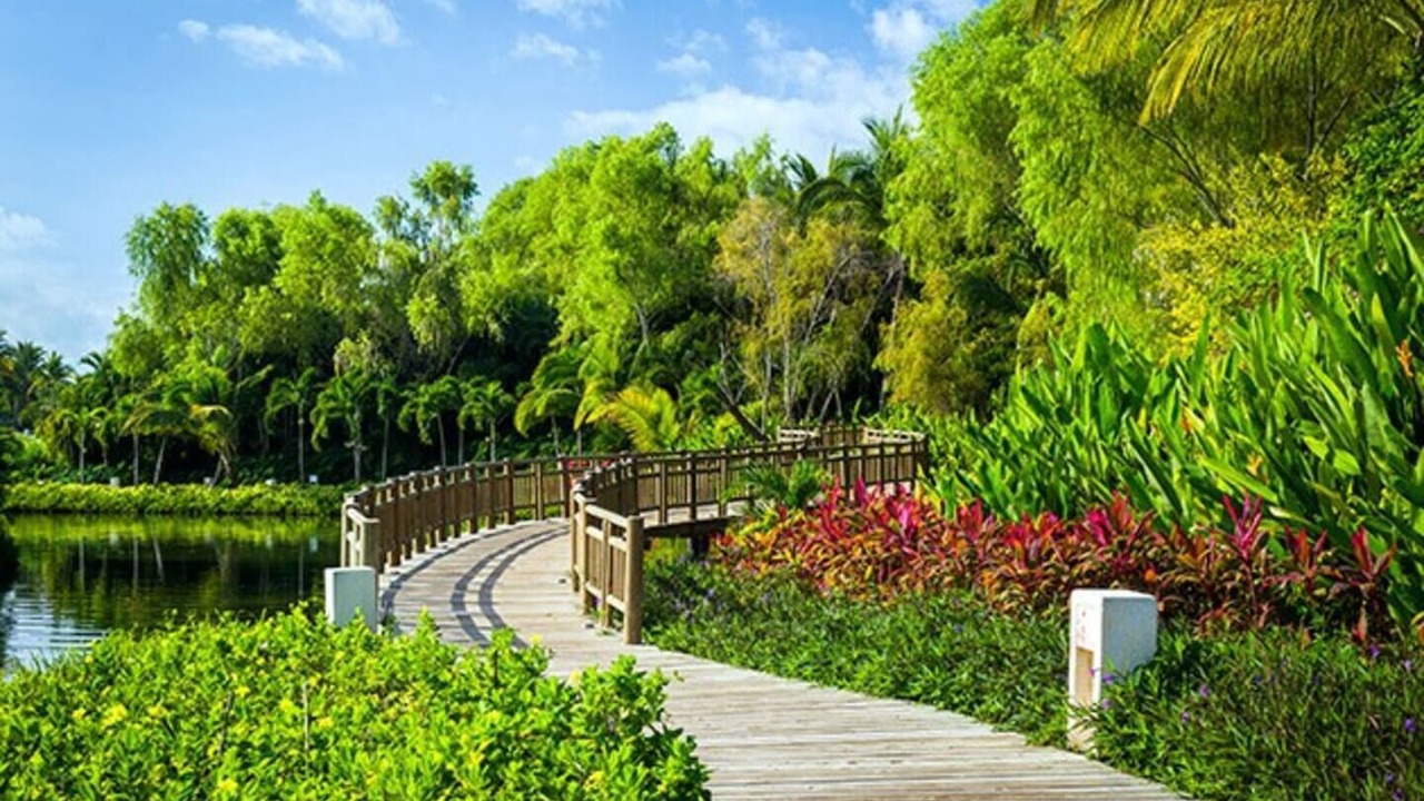 Photo of Outdoor in Las Jarretaderas