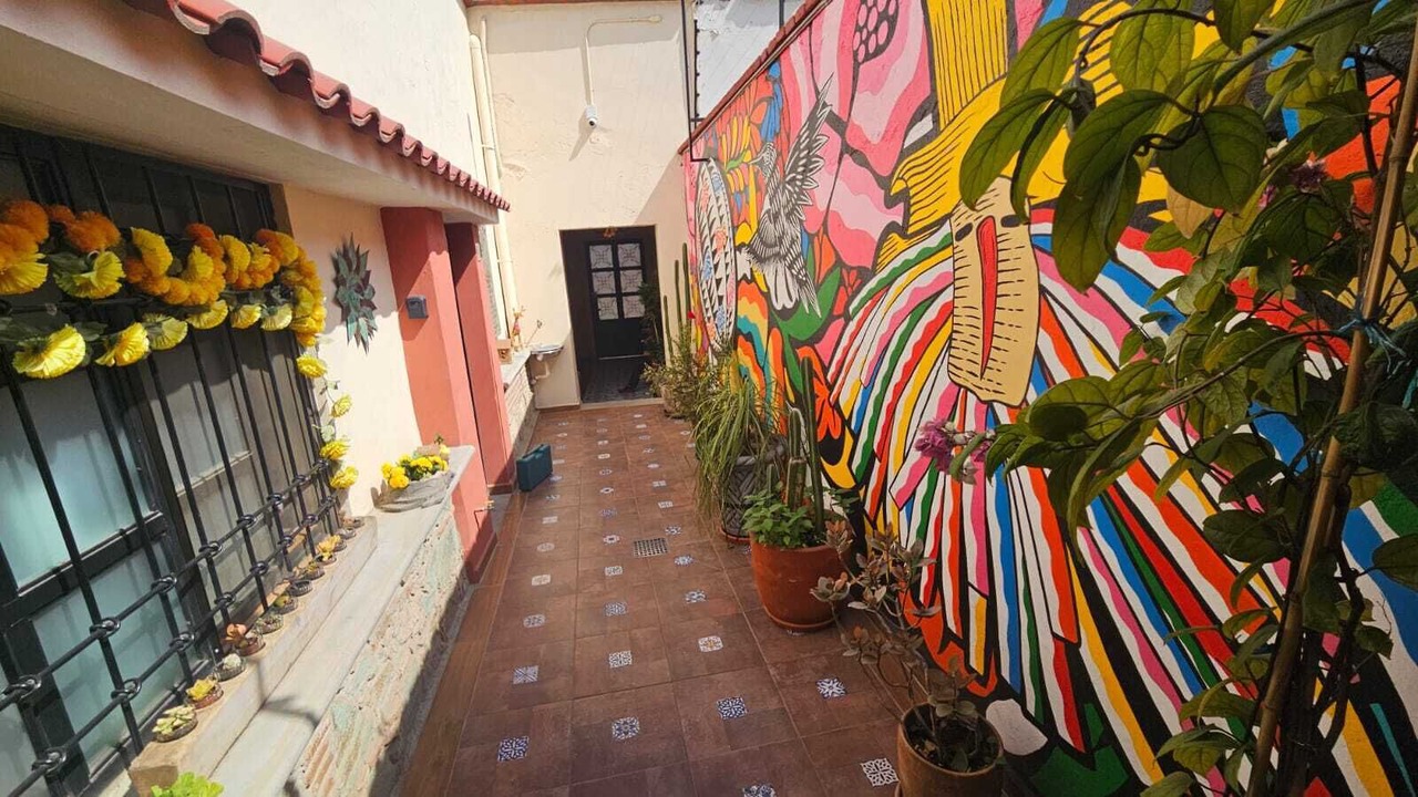 Photo of Outdoor in Centro