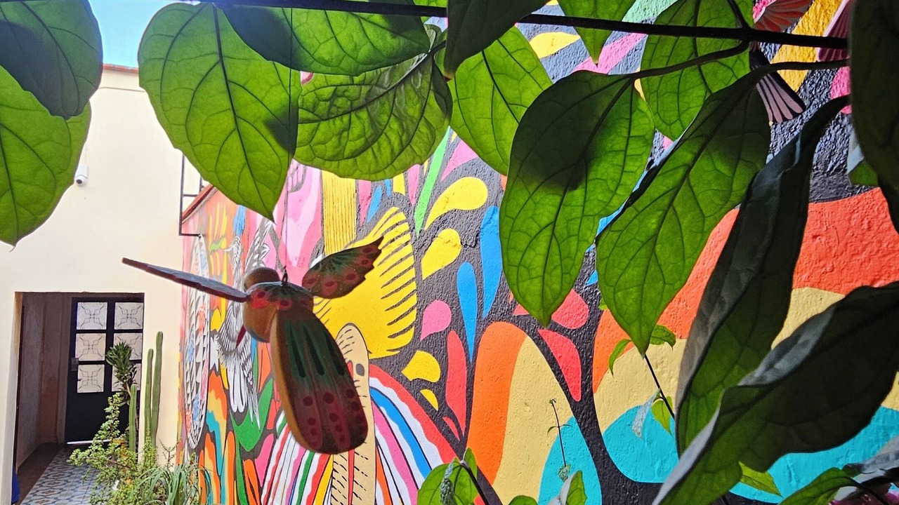 Photo of Outdoor in Centro