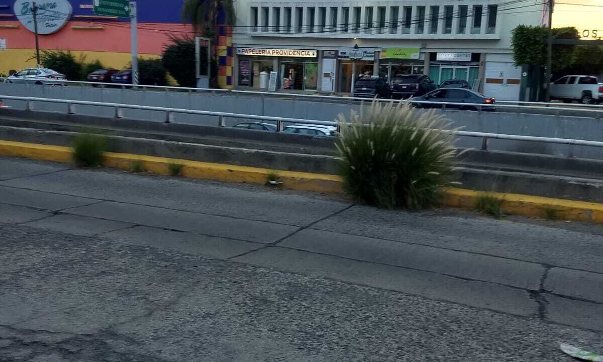 Photo of Others in Zapopan