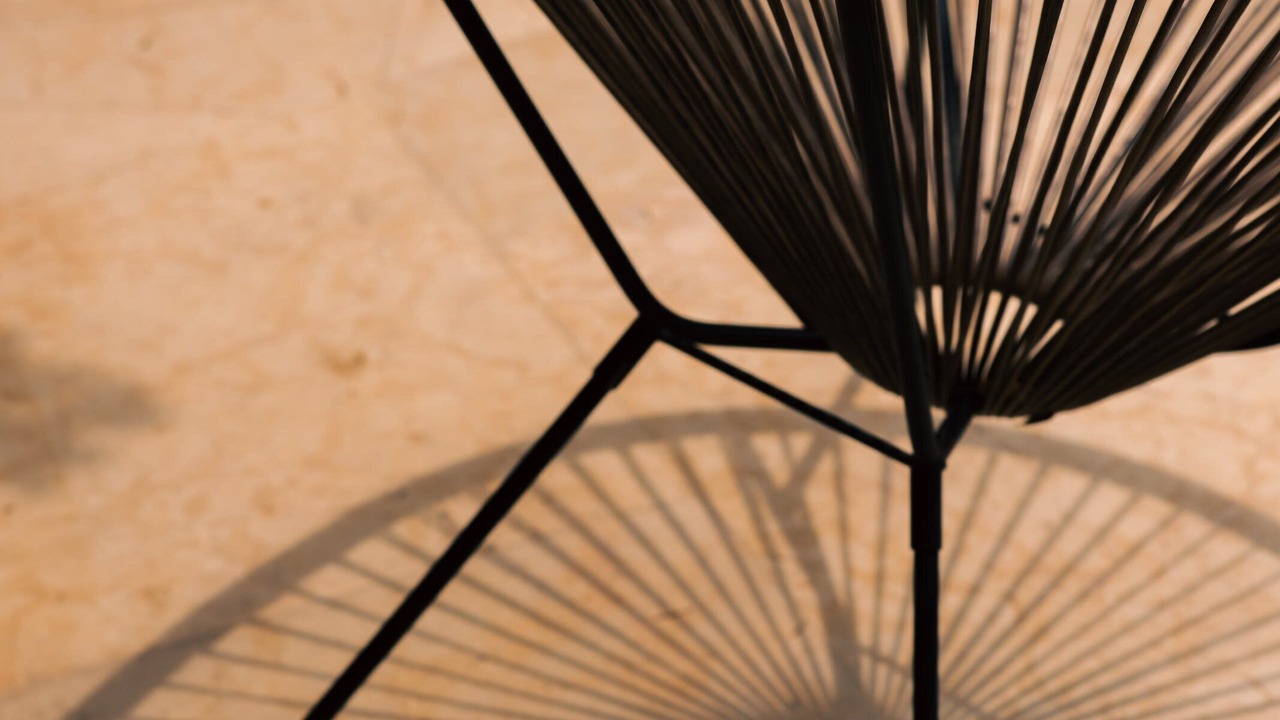Photo of Outdoor in Playa Las Gatas