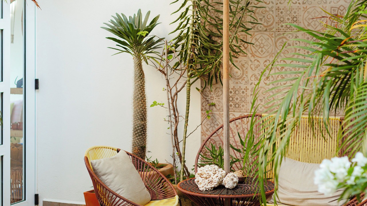 Photo of Patio Balcony in Puerto Angel