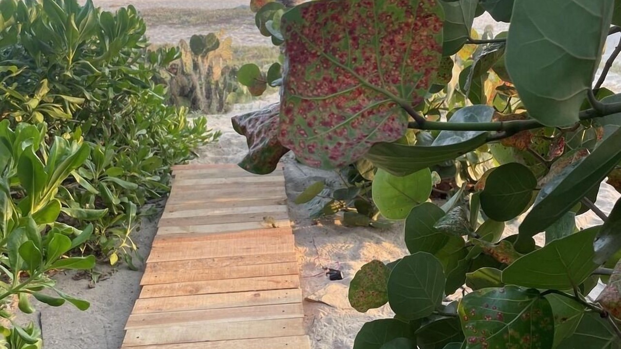 Photo of Others in Santa Maria Tonameca