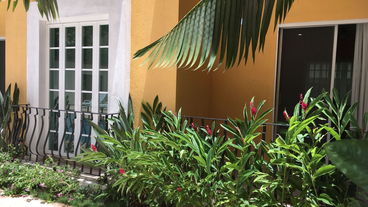 Photo of Outdoor in Santa Maria Huatulco