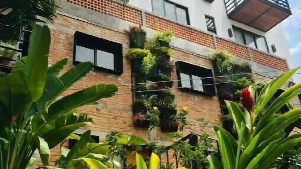 Photo of Outdoor in Proyecto escola
