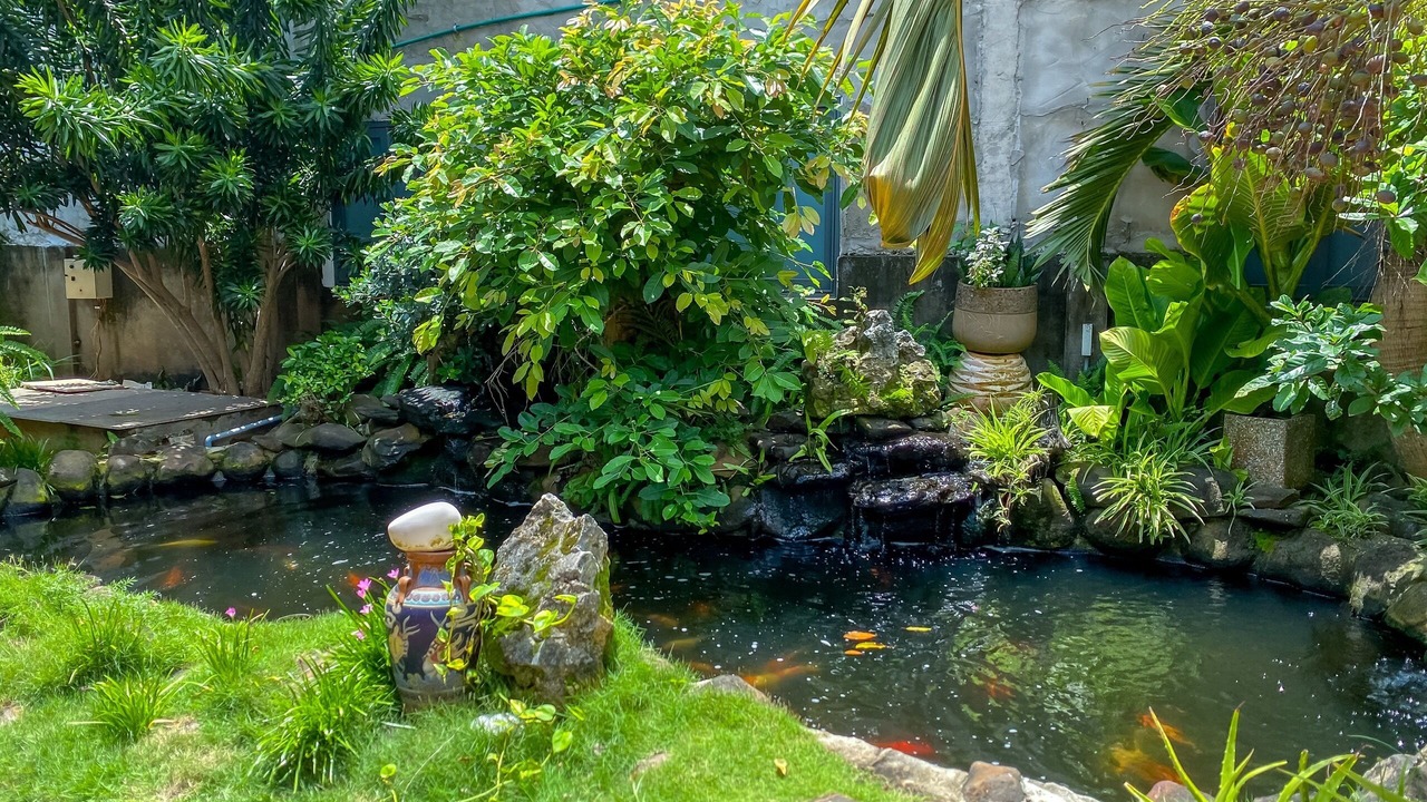 Photo of Outdoor in Chau Duc