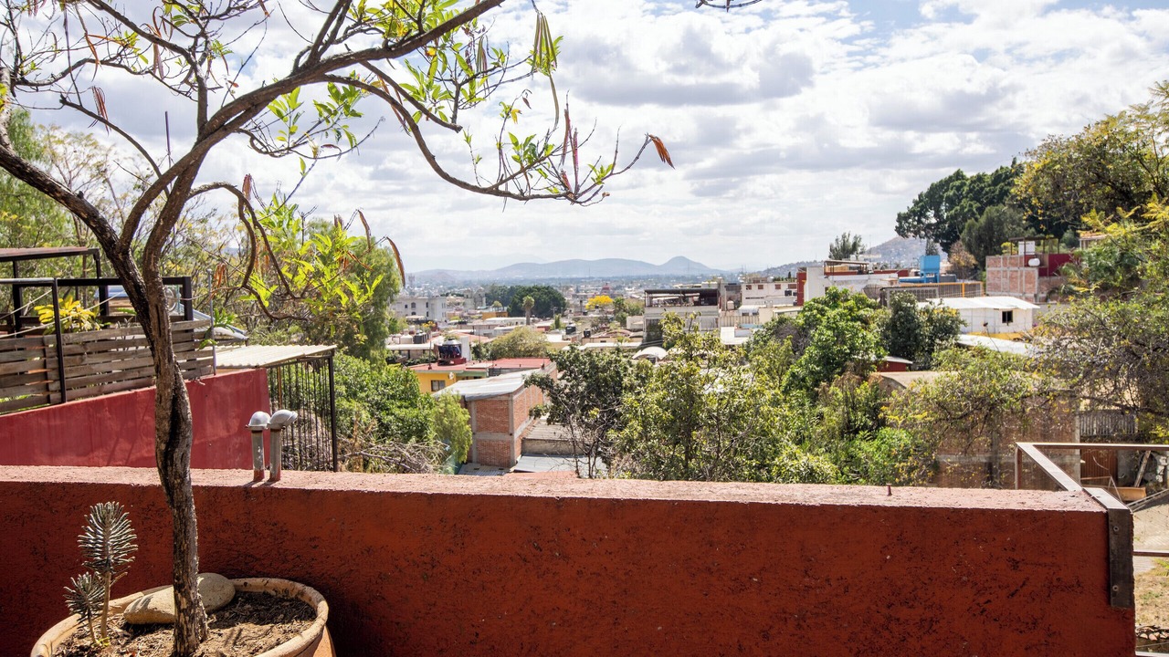 Photo of Others in Luis Jimenez Figueroa