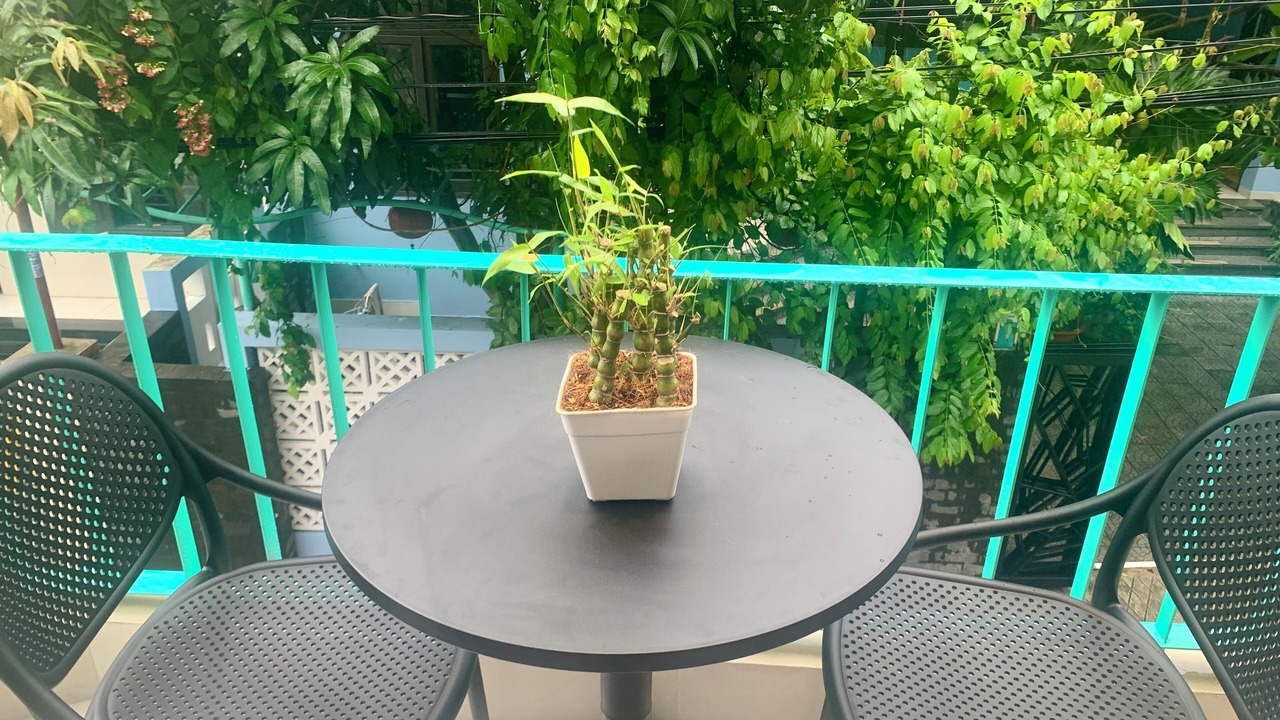 Photo of Outdoor in Hoi An