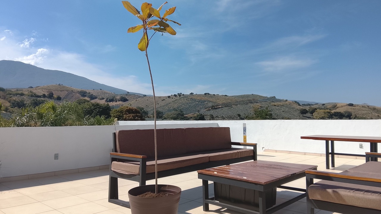 Photo of Patio Balcony in Tequila