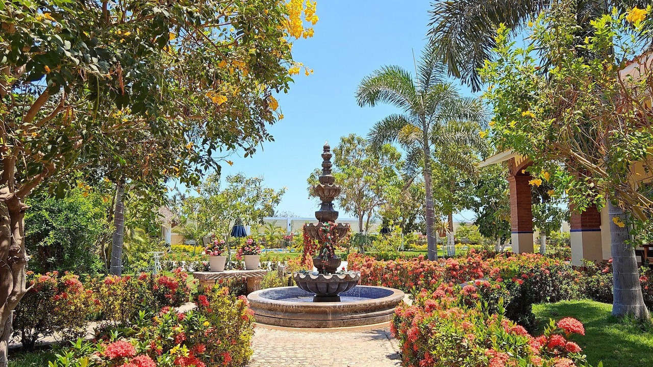 Photo of Others in Bucerias