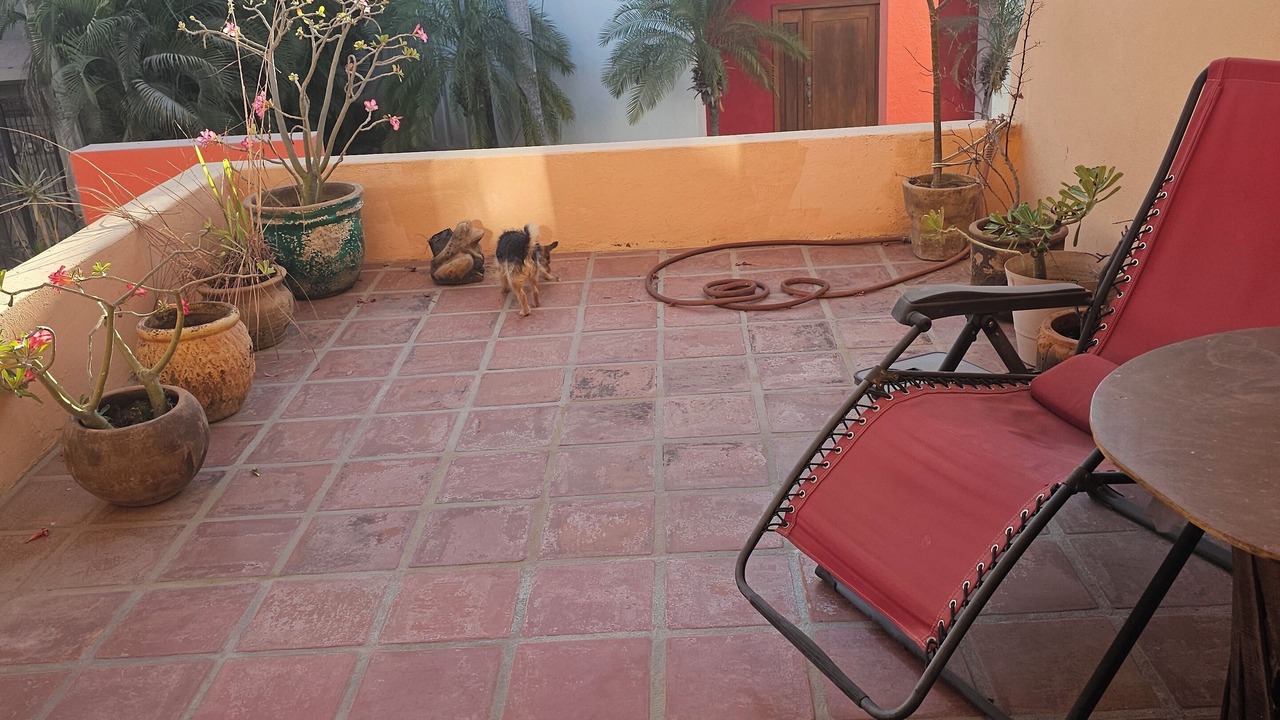 Photo of Patio Balcony in Barra de Navidad