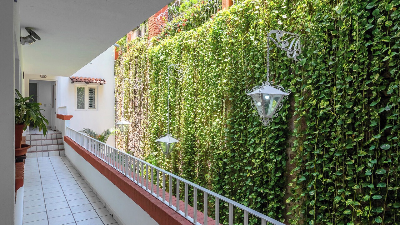 Photo of Outdoor in Romantic Zone