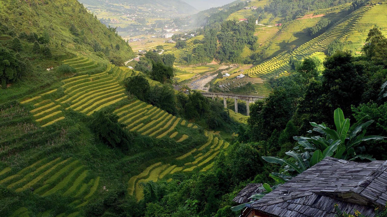 Photo of Others in Lao Cai