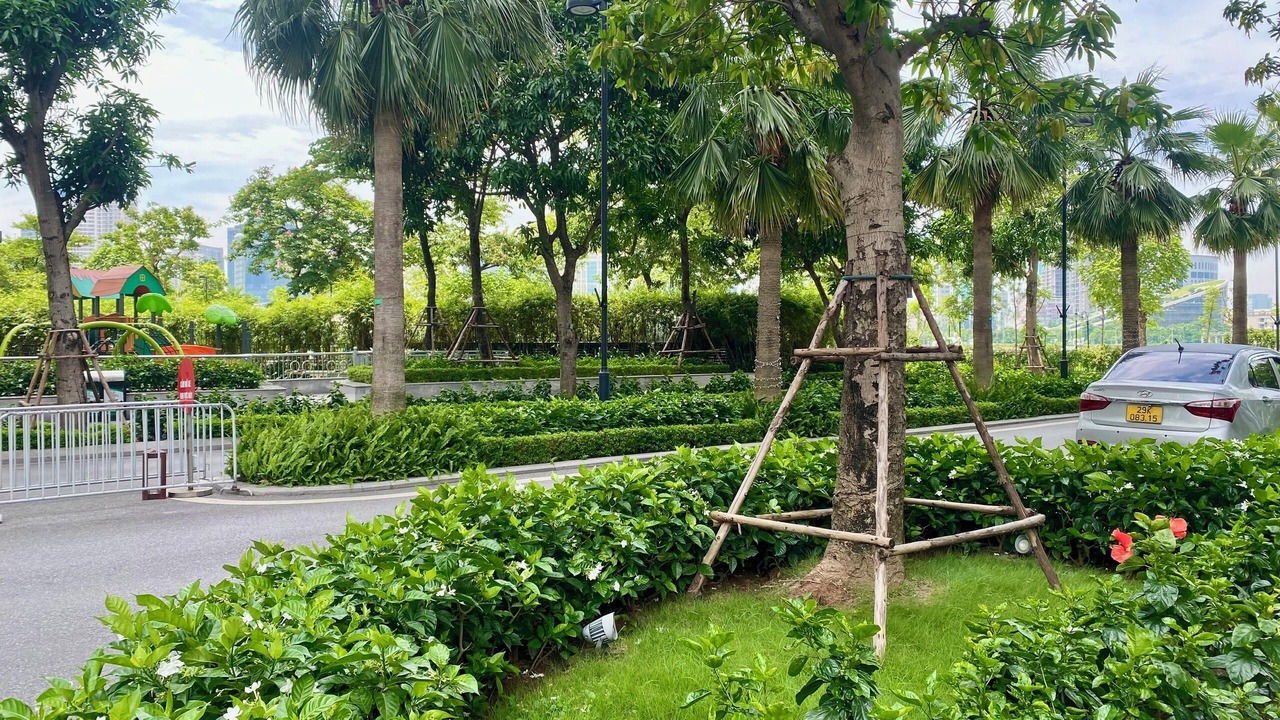 Photo of Outdoor in My Đinh
