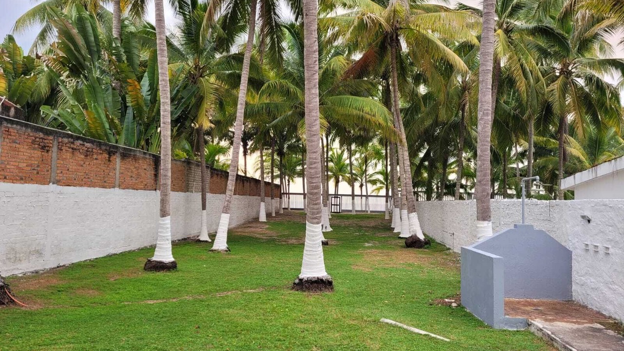 Photo of Outdoor in Lo de Marcos
