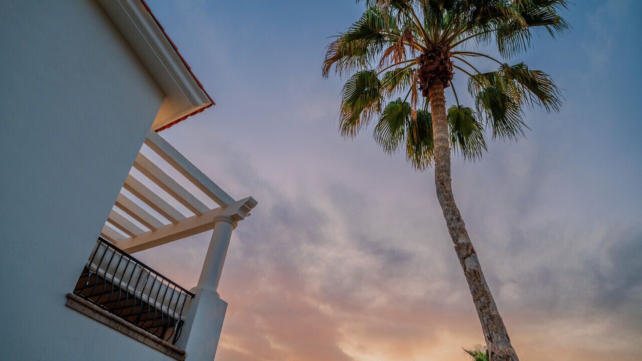 Photo of Others in Palmilla