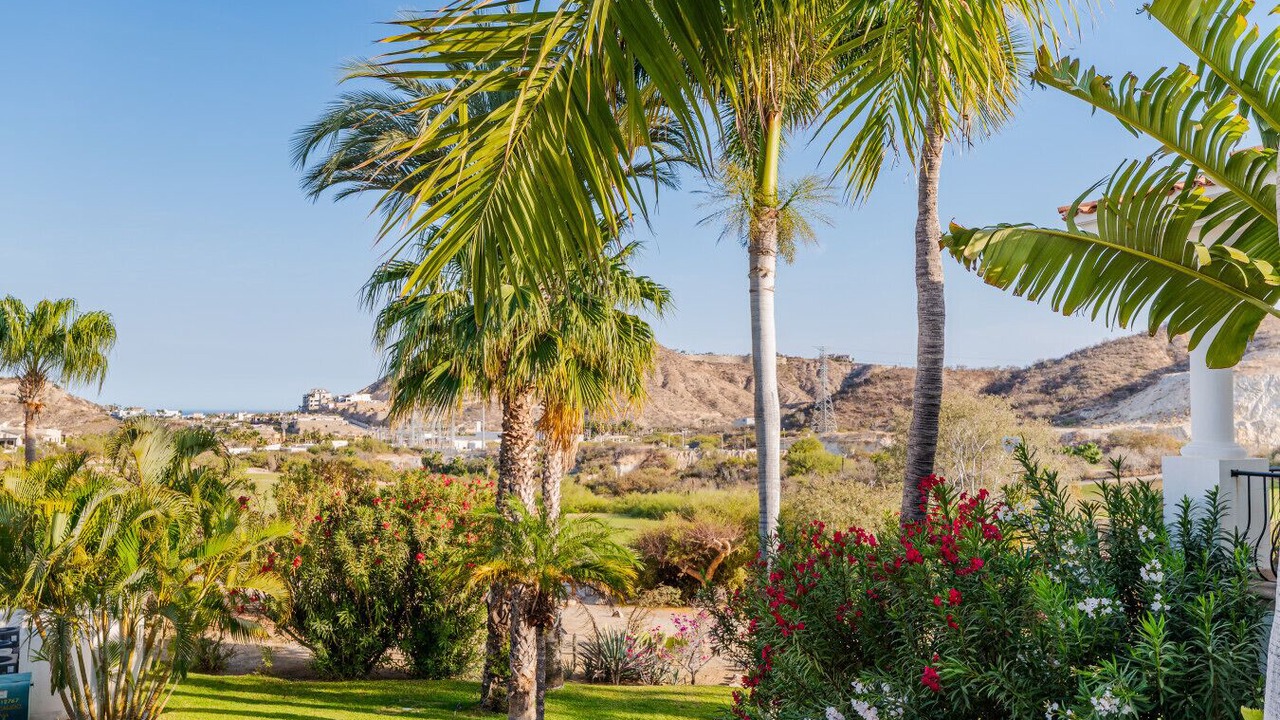 Photo of Others in Palmilla