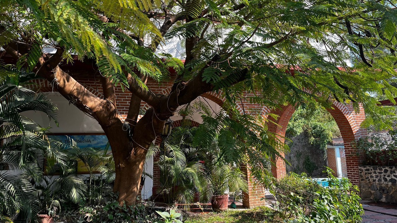 Photo of Outdoor in Yautepec