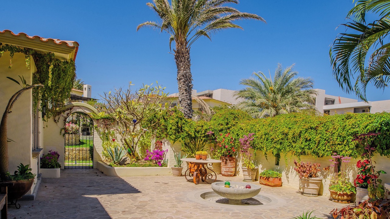 Photo of Outdoor in Cabo San Lucas