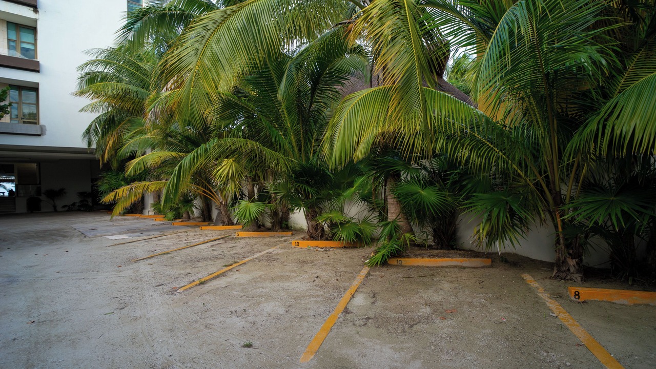 Photo of Outdoor in Chicxulub Puerto