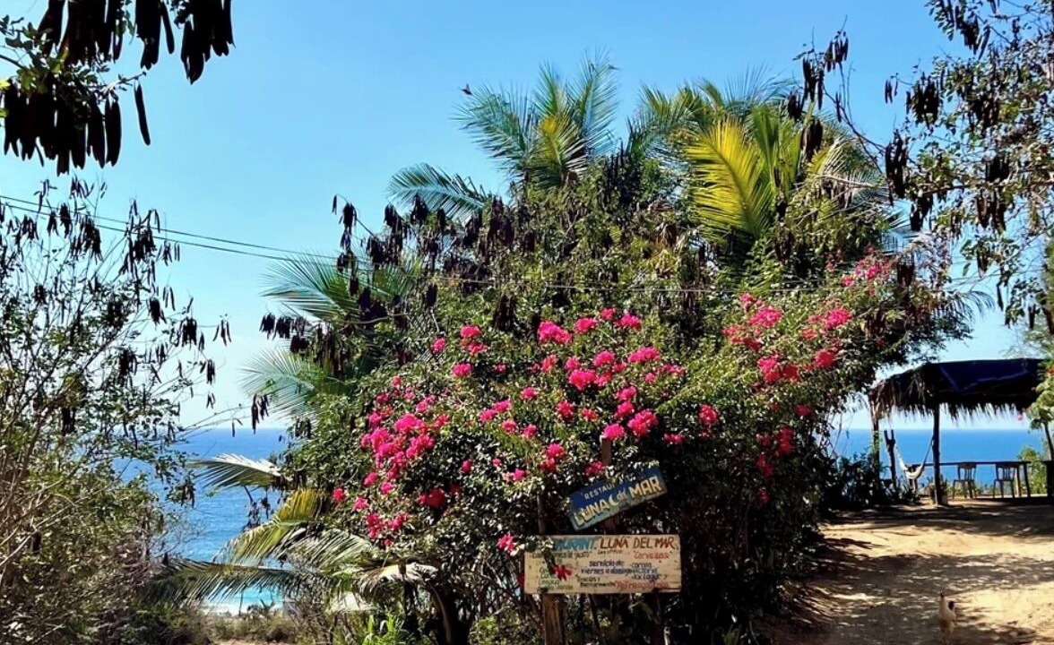 Photo of Others in San Pedro Pochutla