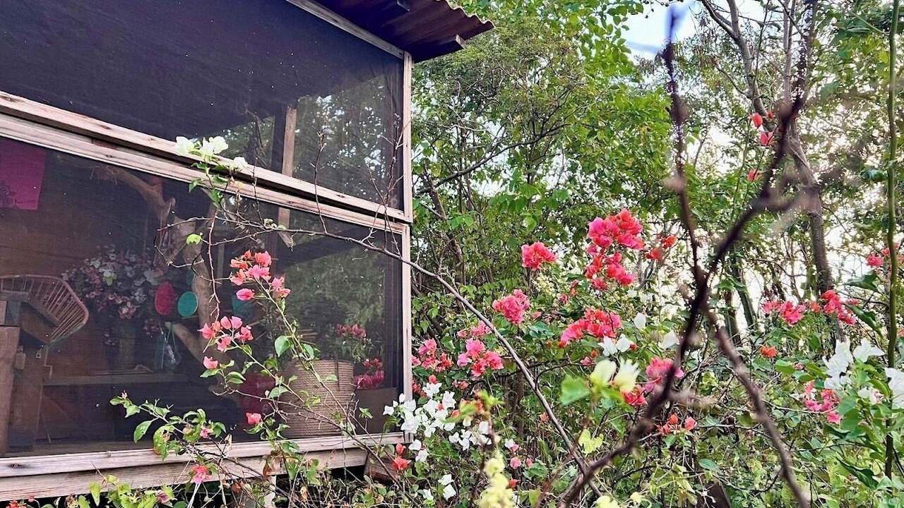 Photo of Outdoor in San Pedro Pochutla