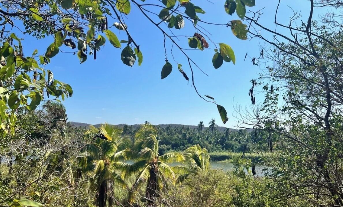 Photo of Others in San Pedro Pochutla