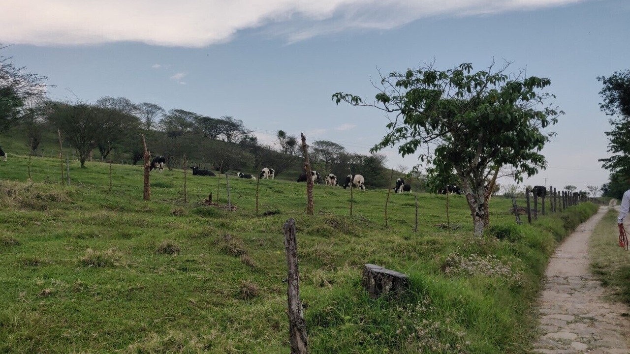 Photo of Others in La Gloria