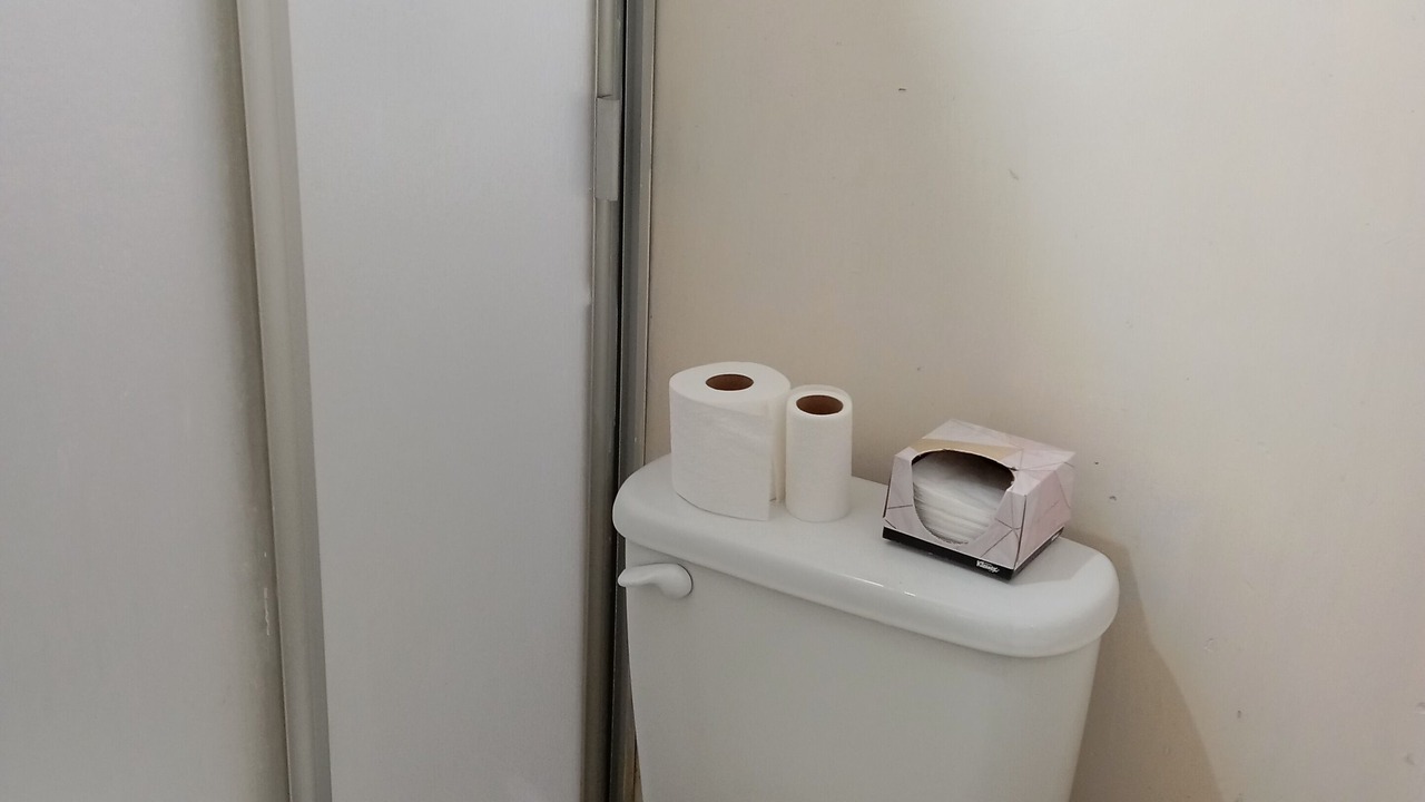 Photo of Bathroom in Downtown Mexico City