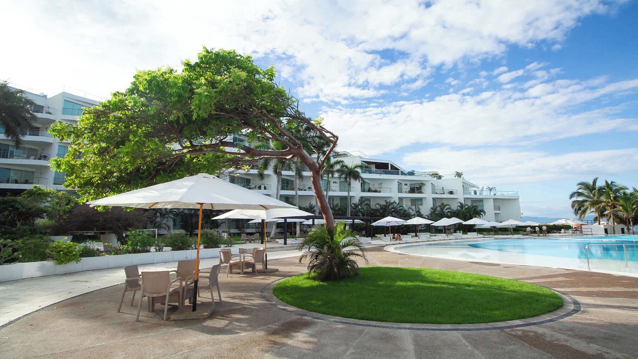Photo of Outdoor in Flamingos
