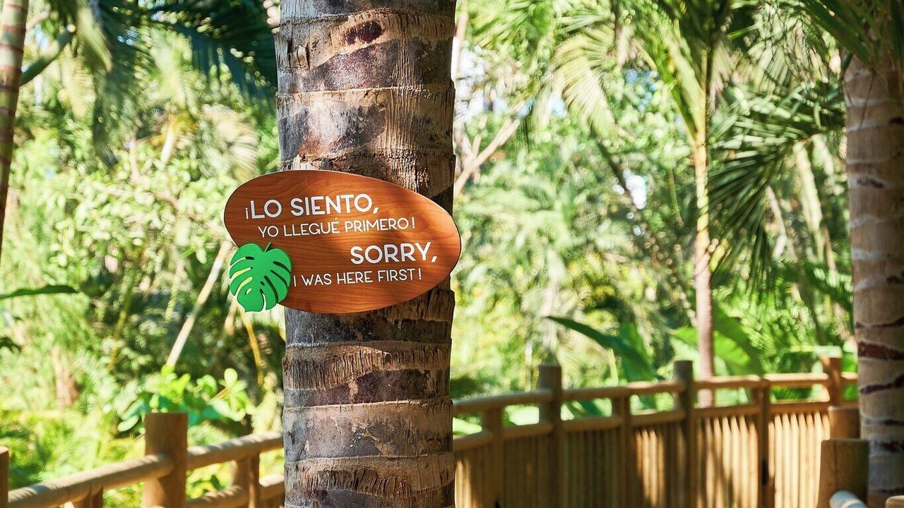 Photo of Others in Nuevo Vallarta