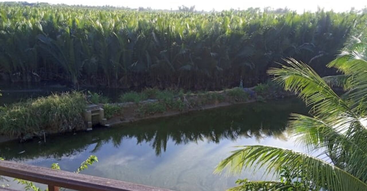 Photo of Outdoor in Cam Thanh