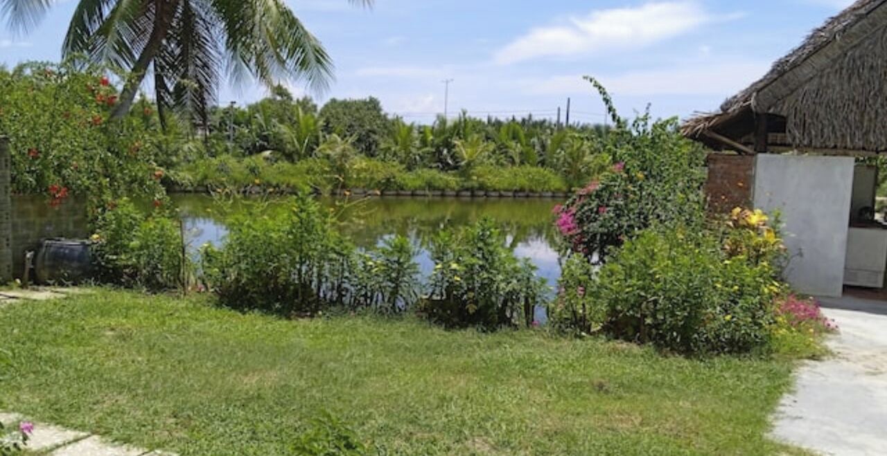 Photo of Outdoor in Cam Thanh