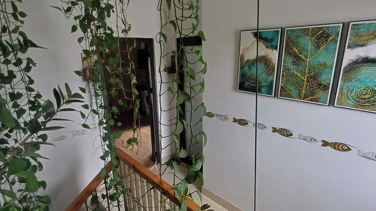 Photo of Bedroom in Son Tra