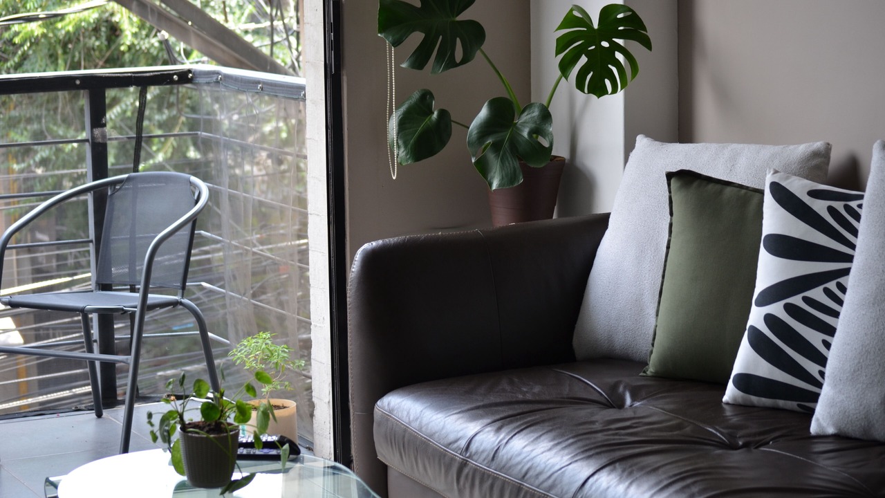 Photo of Livingroom in Narvarte Poniente
