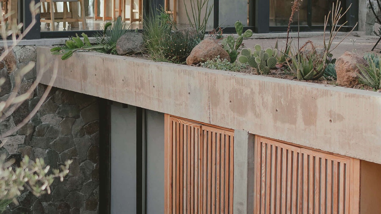 Photo of Outdoor in El Sauzal