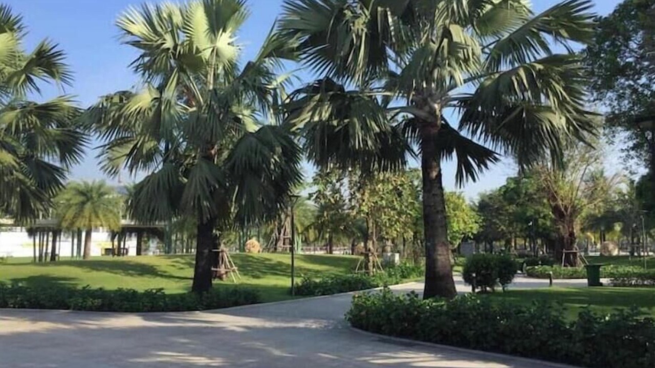 Photo of Outdoor in Linh Trung IEPZ