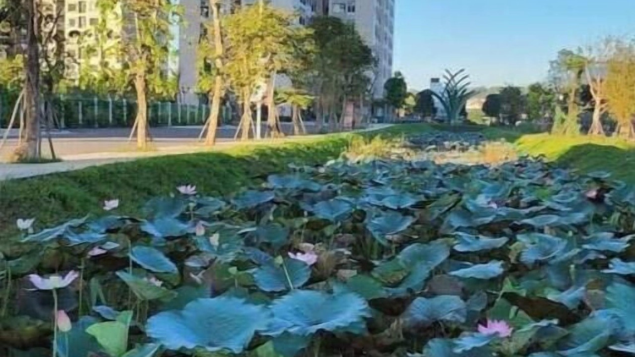 Photo of Outdoor in Linh Trung IEPZ
