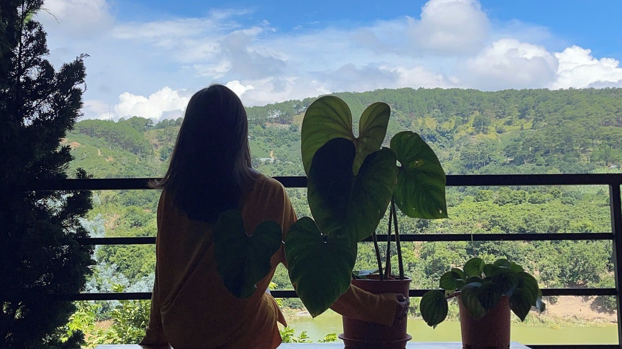 Photo of Livingroom in Da Lat