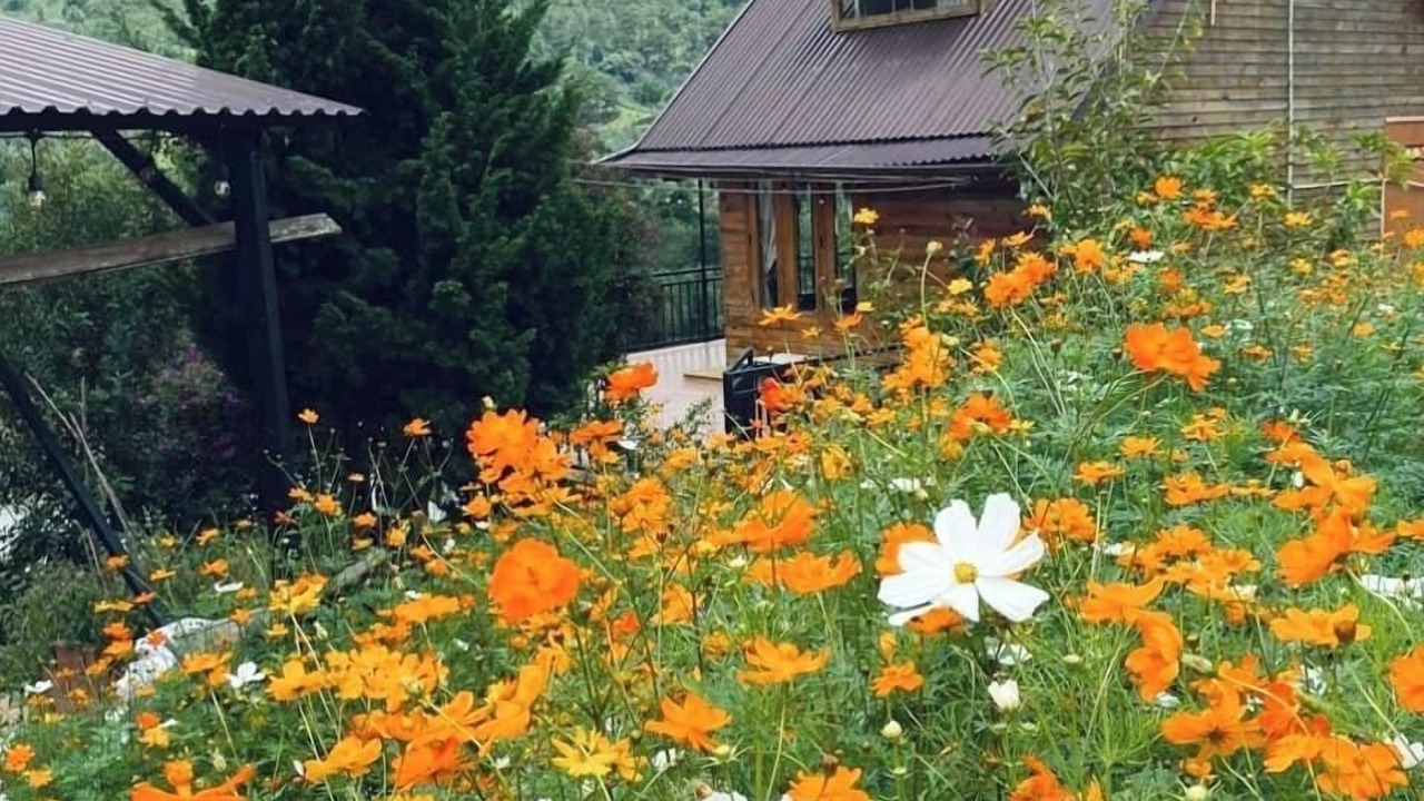 Photo of Outdoor in Da Lat