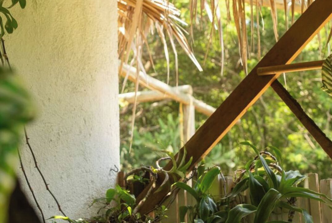 Photo of Outdoor in Brisas de Zicatela