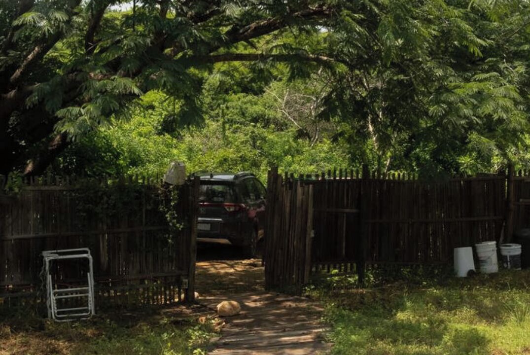 Photo of Outdoor in Brisas de Zicatela