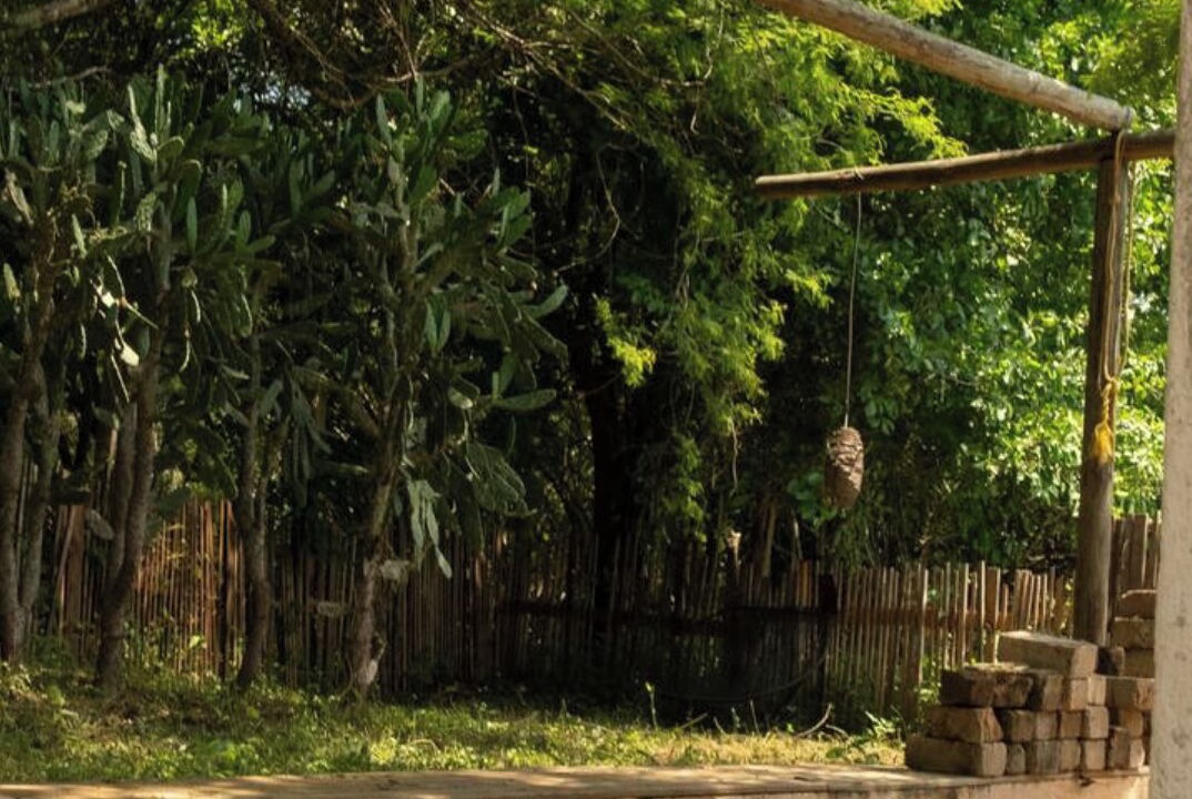 Photo of Patio Balcony in Brisas de Zicatela
