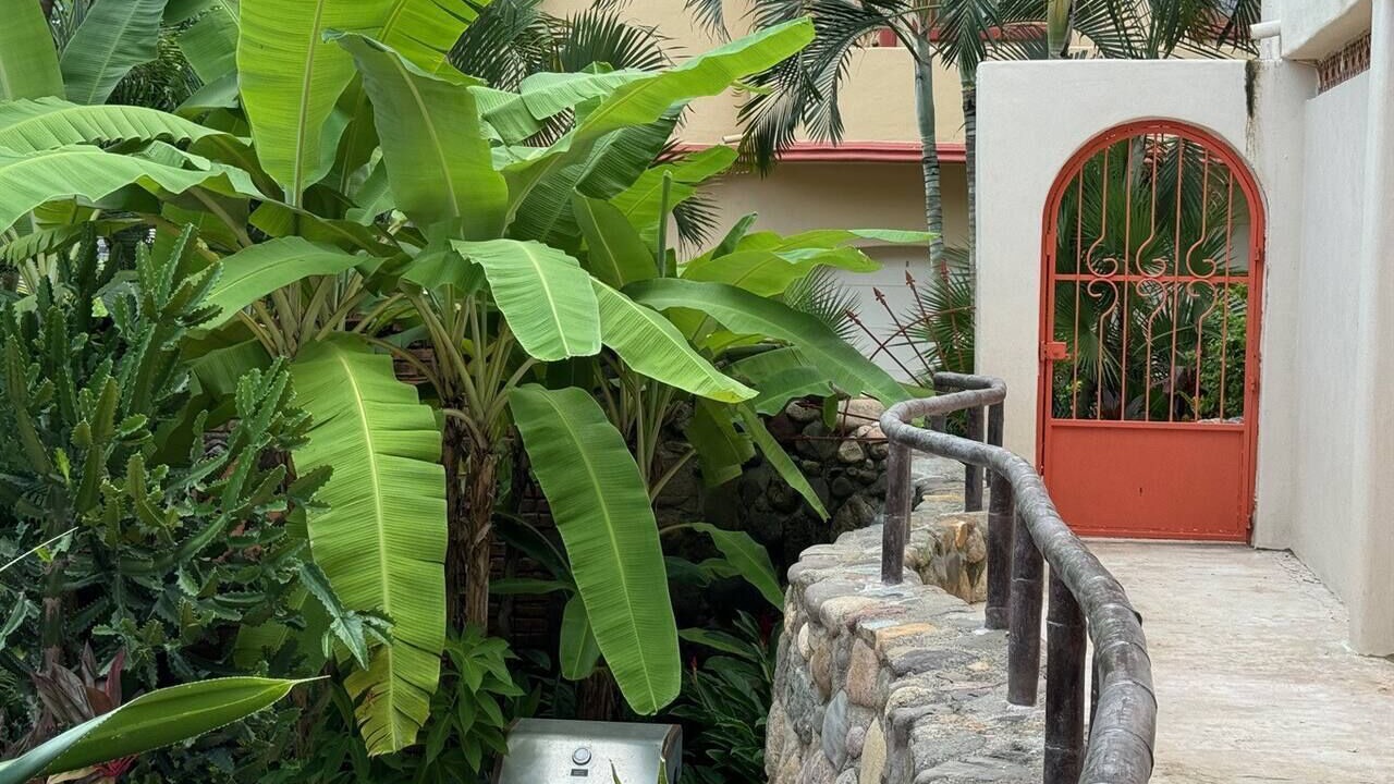 Photo of Others in Sayulita