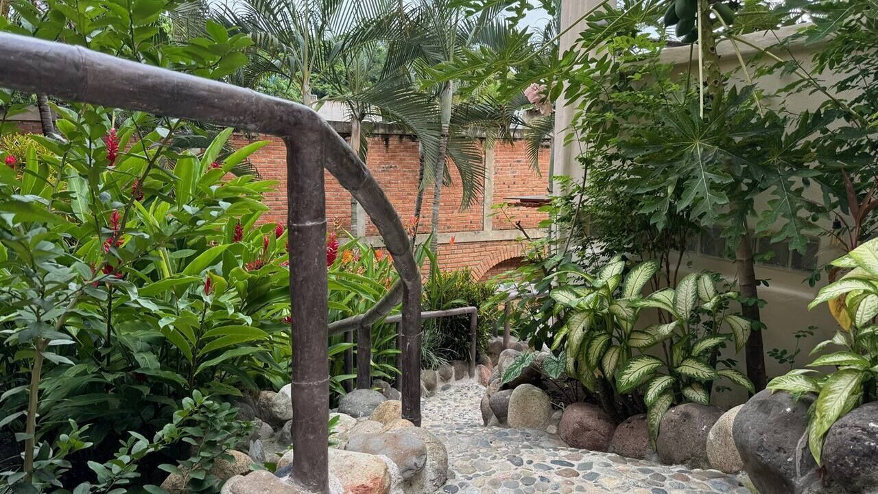 Photo of Outdoor in Sayulita